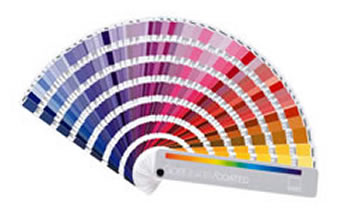 carta pantone